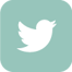 twitter-color
